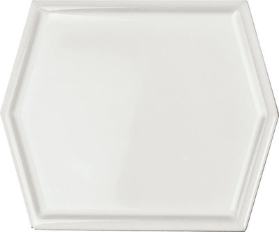 Gem Pearl 5X6 Framed Gloss Hex Tile