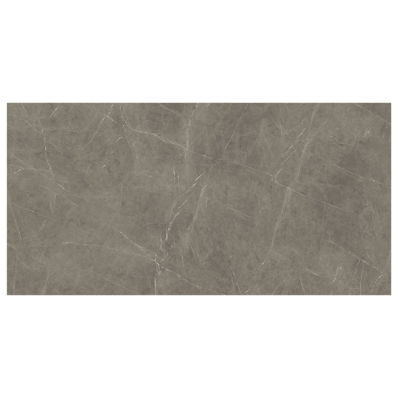 Marvel Gray Stone Silk Finish Porcelain Slab