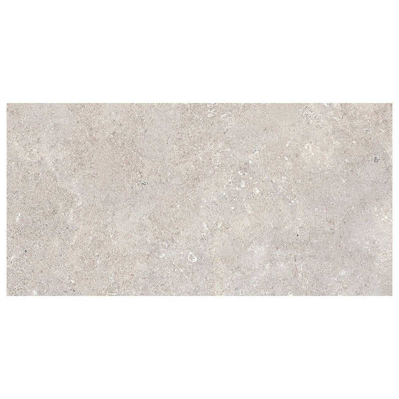 Caliza 12x24 Gris Tile
