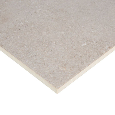 Caliza 12x24 Gris Tile