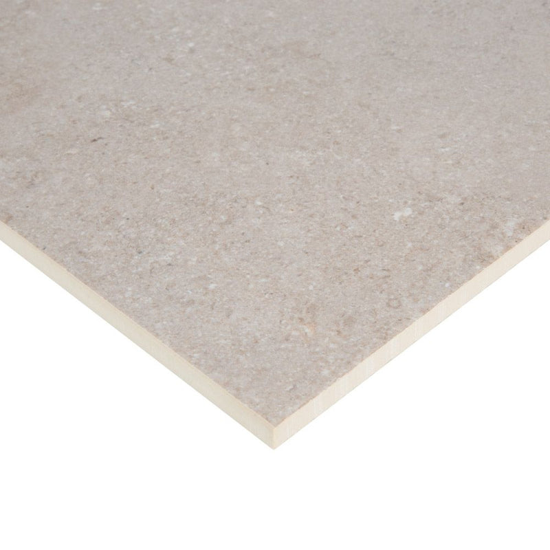 Caliza 12x24 Gris Tile