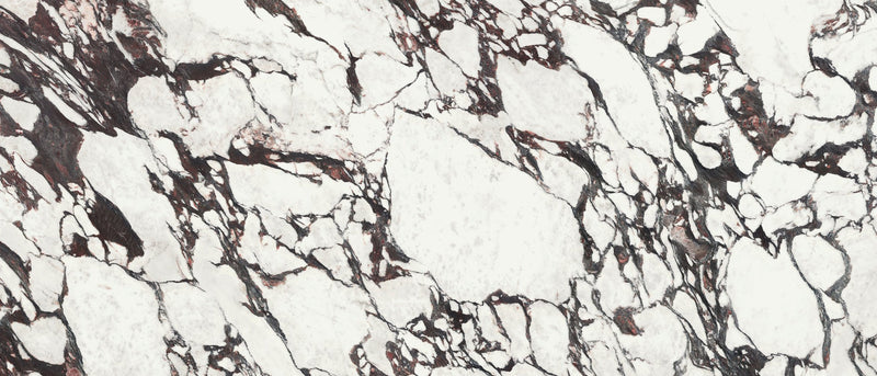 Era 48x110 Medicea Marble Porcelain Panel