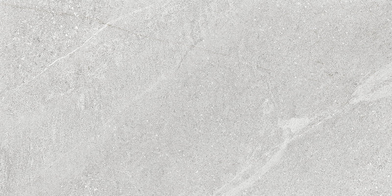 Zion 12x24 Ash Matte Porcelain Tile