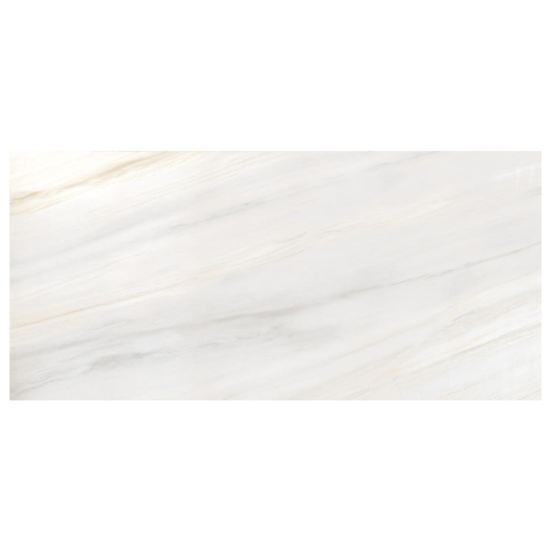 Dolcissima Lasa Argento Polished Porcelain Slab