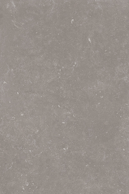 Bluerun 24x36 2cm Paver