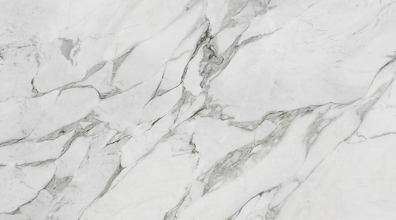 Calacatta Michelangelo Dolomite