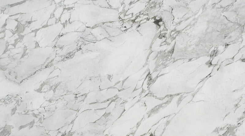 Calacatta Michelangelo Dolomite