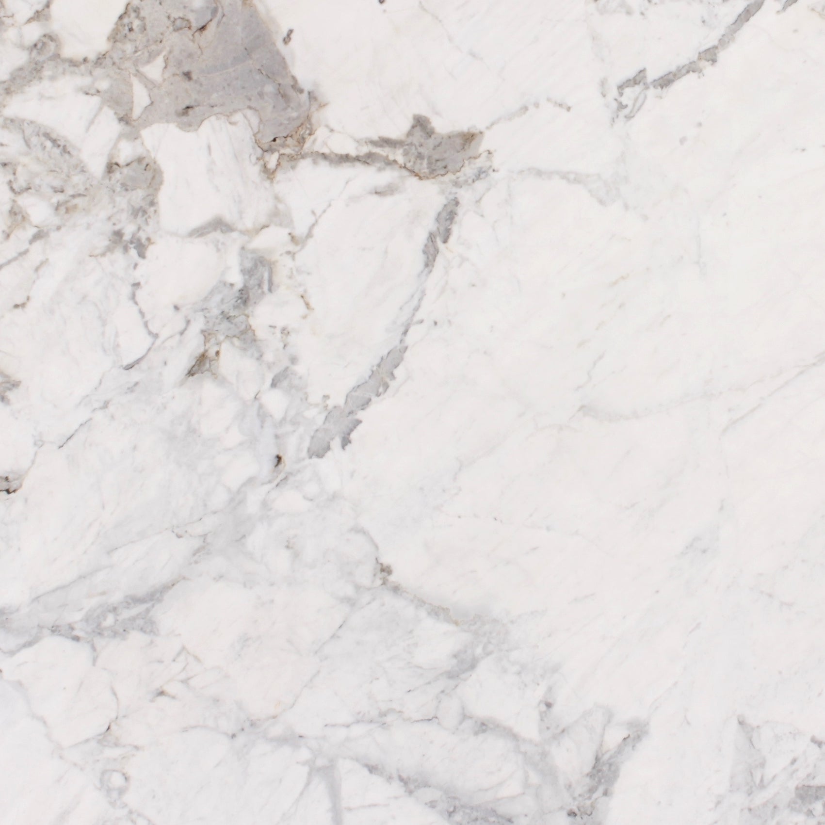 Calacatta Dolomite Marble | Tile Market Of Delaware