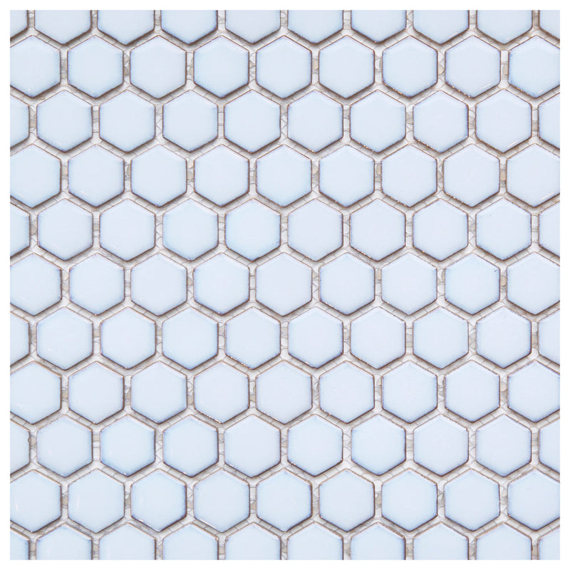 Makai 1" Hexagon Cumulus Gloss Mosaic Tile