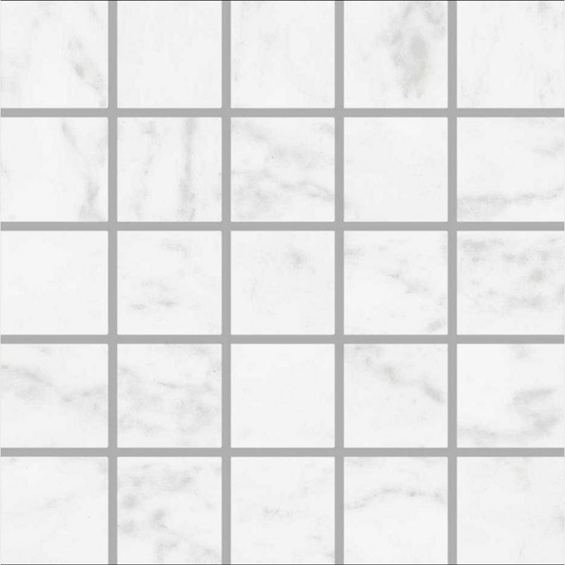 Marmorea 2X2 Carrara Matte Porcalin Tile